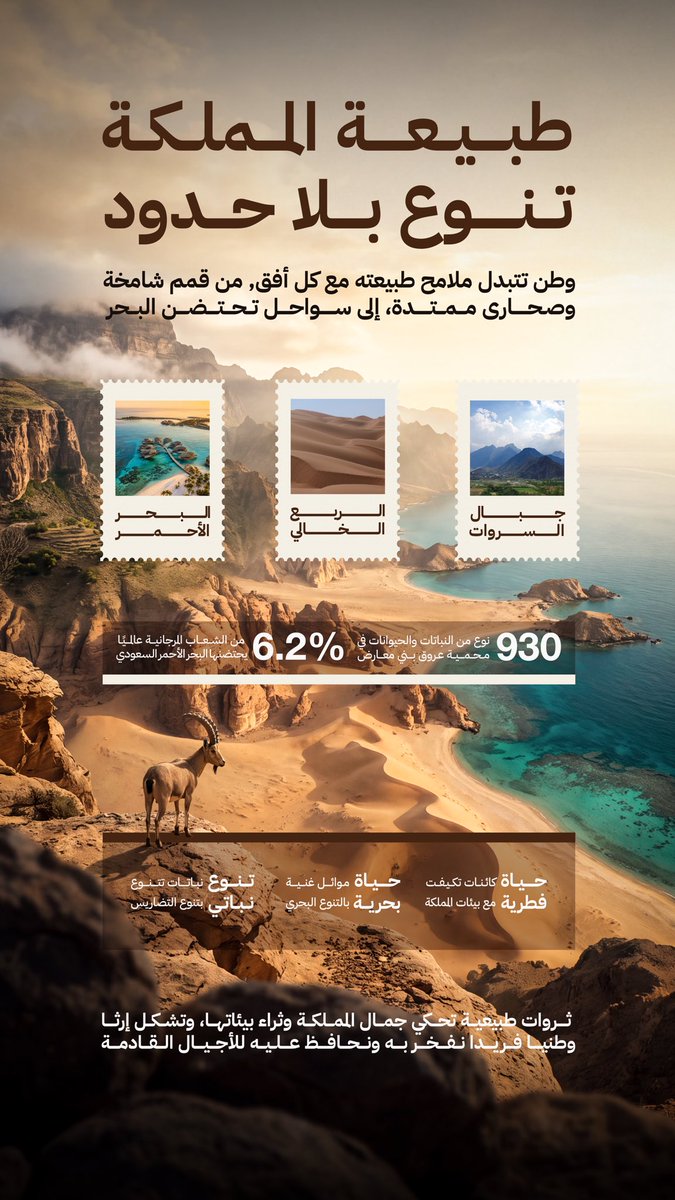 Refaa_ba's tweet photo. تصميم إنفوجرافيك عن تنوّع الطبيعة في المملكة 💚🇸🇦 https://t.co/GBfWNjno7F