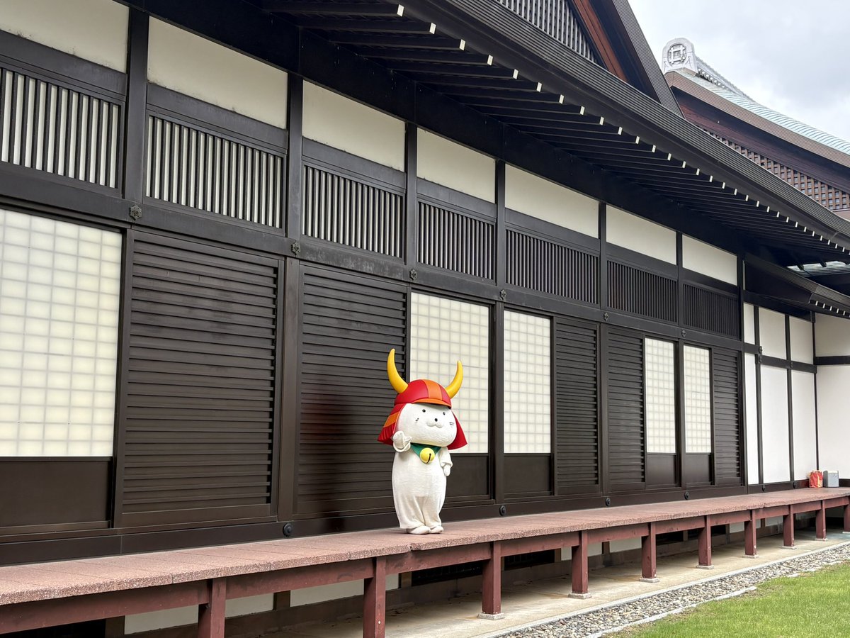nonnoneichan's tweet photo. 彦根城とひこにゃん

琵琶湖の水を引いて水濠にしたり、移築の城なので石積の仕様が場所により全く異なったり、防御としての落とし橋
予備知識をもって行くと見所満載でした https://t.co/PJl8VybqTR