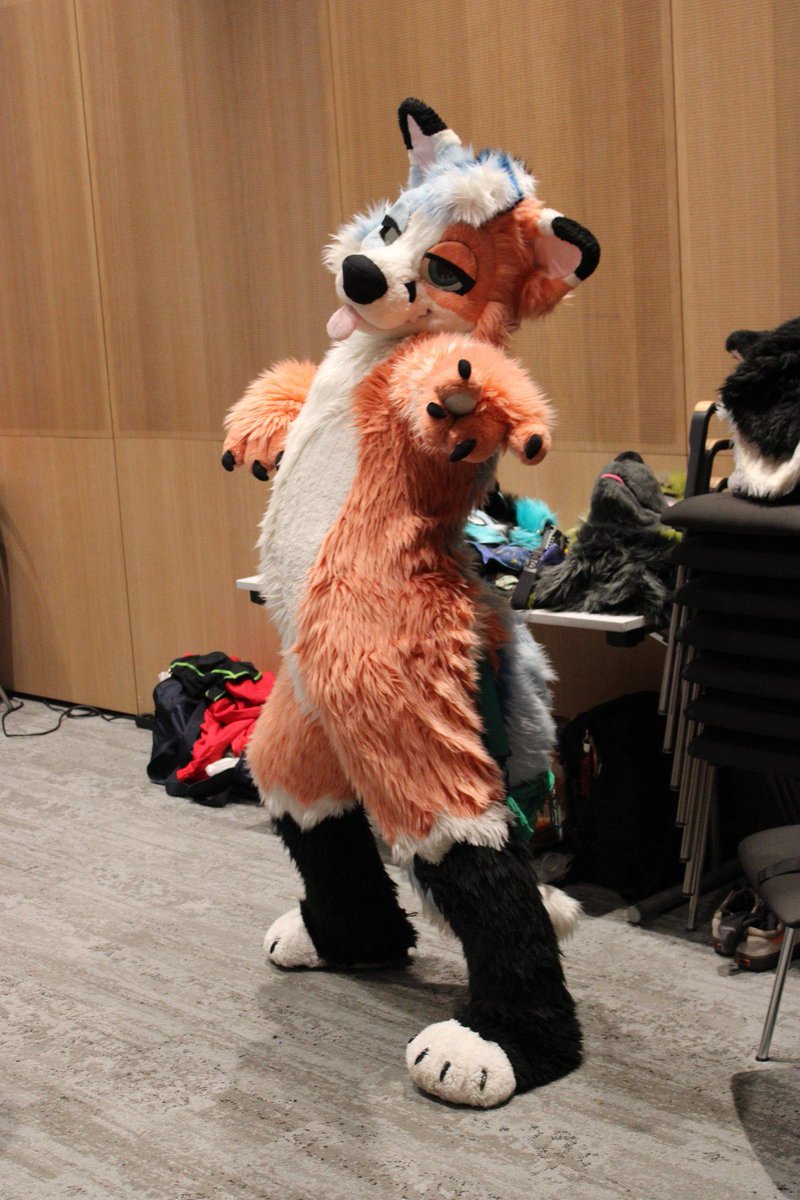 MadeInBatter's tweet photo. Damn bro, check out those curves 🤤🦊

📸 - ValandrielWinterwind https://t.co/oqp4SsgH1h
