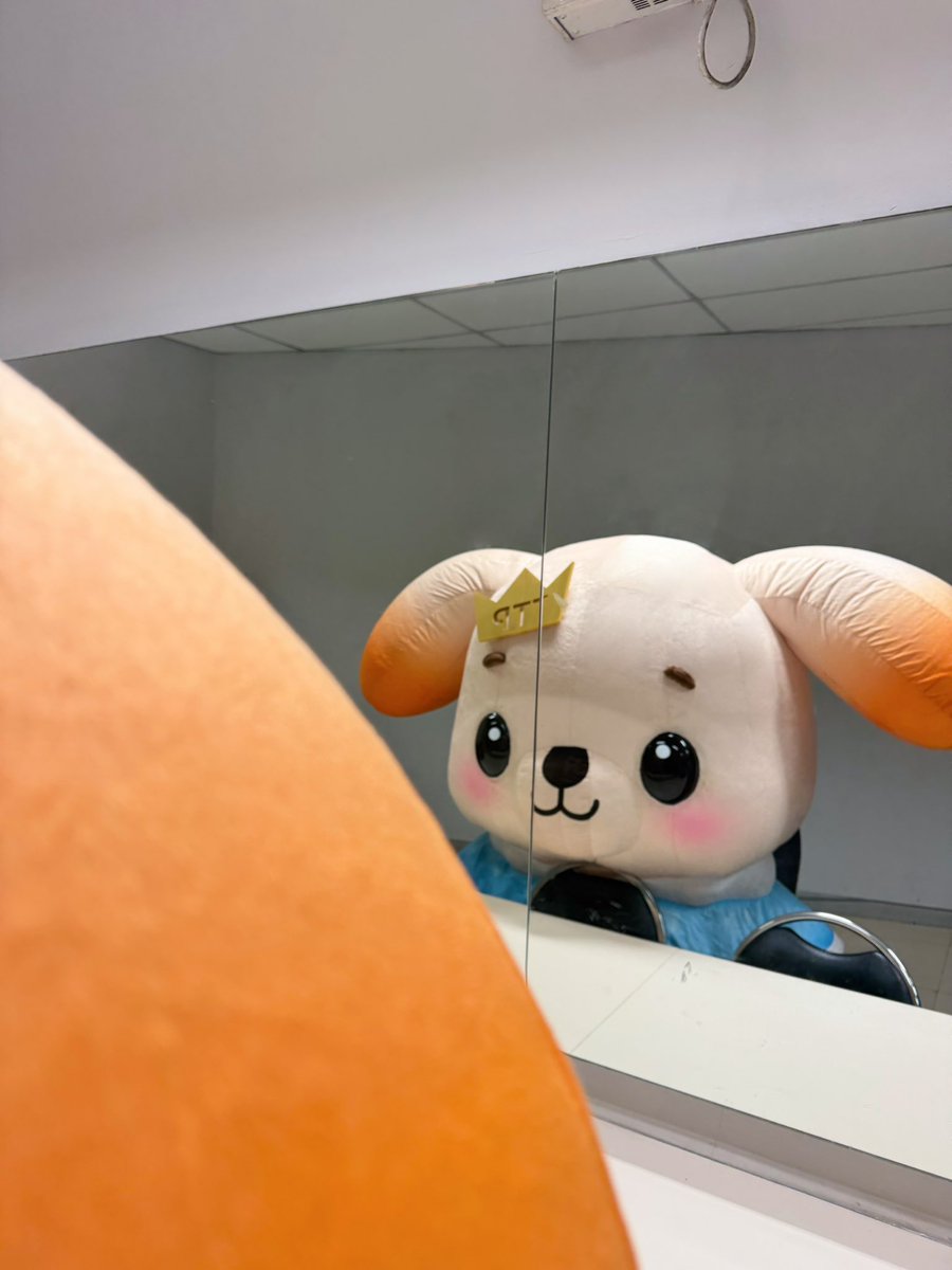 BokBear__DMD's tweet photo. @MrToky_Domundi @OhAe_Domundi เค้าเหลอคับเฮีย.. เค้าว่าเค้าก็เล็กสุดแหล้ว

#MrToky #OhAe #BokBear https://t.co/1Wit2BtE9a