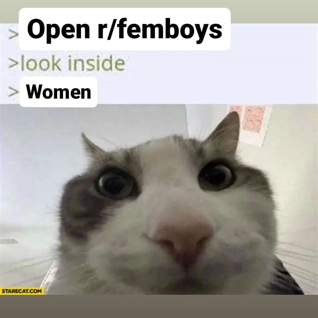 EFemboycel's tweet photo. Good morning oomfs https://t.co/kor05IP8tJ