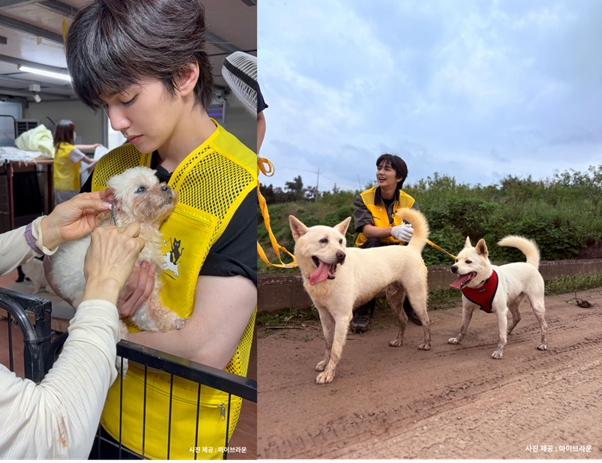 juhyeon6749's tweet photo. 배우 유승호가 방송 나와서 악착같이 돈 벌어야 한다고 밝힌 진짜 이유

평소에 청바지 하나 사면 4년 넘게 입고
집에 있는 낡은 소파랑 뜯어진 이불도 직접 바느질해서 쓸 
정도로 자린고비임

근데 자기 몸엔 돈 아끼면서
돈을 물 쓰듯 쏟아붓는 곳이 딱 하나 있었는데 바로 유기동물 보호소였음

티도 안 내고 보호소에 대량으로 후원 물품 보내는 건 
기본이고
살인적인 한파에도 직접 봉사 나가서 똥 치우고 밥 챙겨줌
심지어 보호소에 밀린 동물병원비 수백 수천만 원까지 뒤에서 조용히 다 갚아줌

최근엔 아예 본인이 직접 운영할 동물보호소를 준비 중인데
보호소 하나 제대로 유지하려면 상상 이상으로 돈이 깨진다는 걸 뼈저리게 깨달음

결국 배우로 활동하면서 몸값 비쌀 때 악착같이 일해서 돈 
벌고
자기는 극단적으로 아껴가며 그 막대한 운영 자금을 혼자 모으는 중임

단순히 동물이 불쌍해서 돕는 취미 수준이 아니라
한 생명을 끝까지 책임지는 걸 자기 평생의 의무로 생각하는 멘탈 자체가 진짜 존경스러움