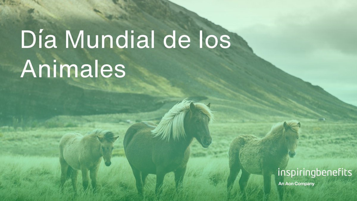 InspBenefits's tweet photo. 🐾 Hoy es el #DiaMundialDeLosAnimales

Los animales nos acompañan, nos relajan y mejoran nuestro bienestar.

En @InspBenefits creemos que cuidar de ellos y apoyar su bienestar ayuda a construir organizaciones más humanas.

#BienestarLaboral #ImpactoSocial #InspiringBenefits https://t.co/ISCzHNTAQY