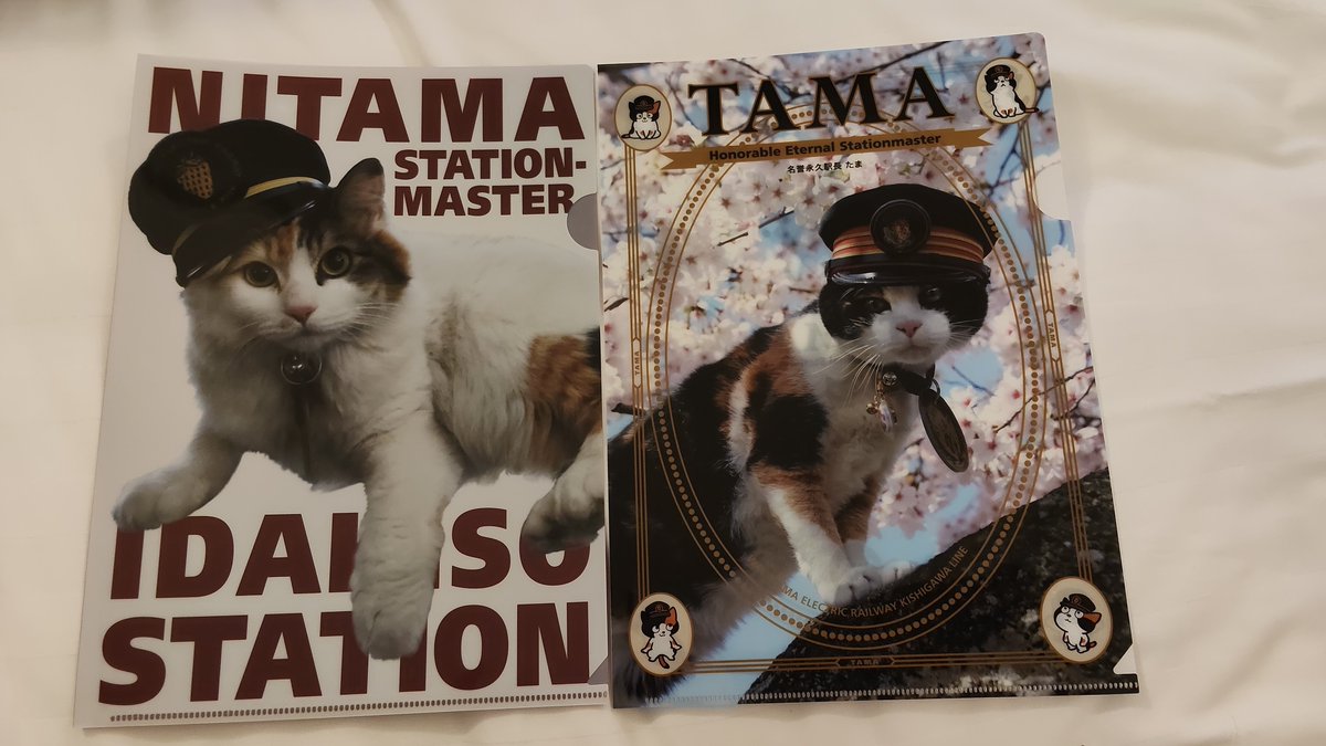 twnyanta's tweet photo. しっかり推し活もして来ました(グッズ購入…!!

こちらは、
初代と2代目のねこ駅長グッズ(クリアファイル)です🐾

左 : 2代目ニタマ駅長
右 : 初代たま駅長

とくに初代たま駅長(右)は、
廃線の危機にあった和歌山電鐵を救い、復興と繁栄に導いた
偉大なレジェンド🐱です✨️ https://t.co/cWVqxZXT9z