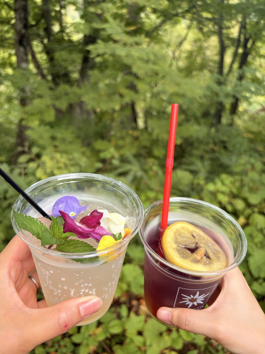 magicalyuri's tweet photo. 越後湯沢に行って来ました✨
日本酒で作ったフラワーサングリア、香りも良くて可愛くて、とっても美味しかった❤️
威嚇してるカマキリが愛らしすぎた😍 https://t.co/hkSAvO0EYX