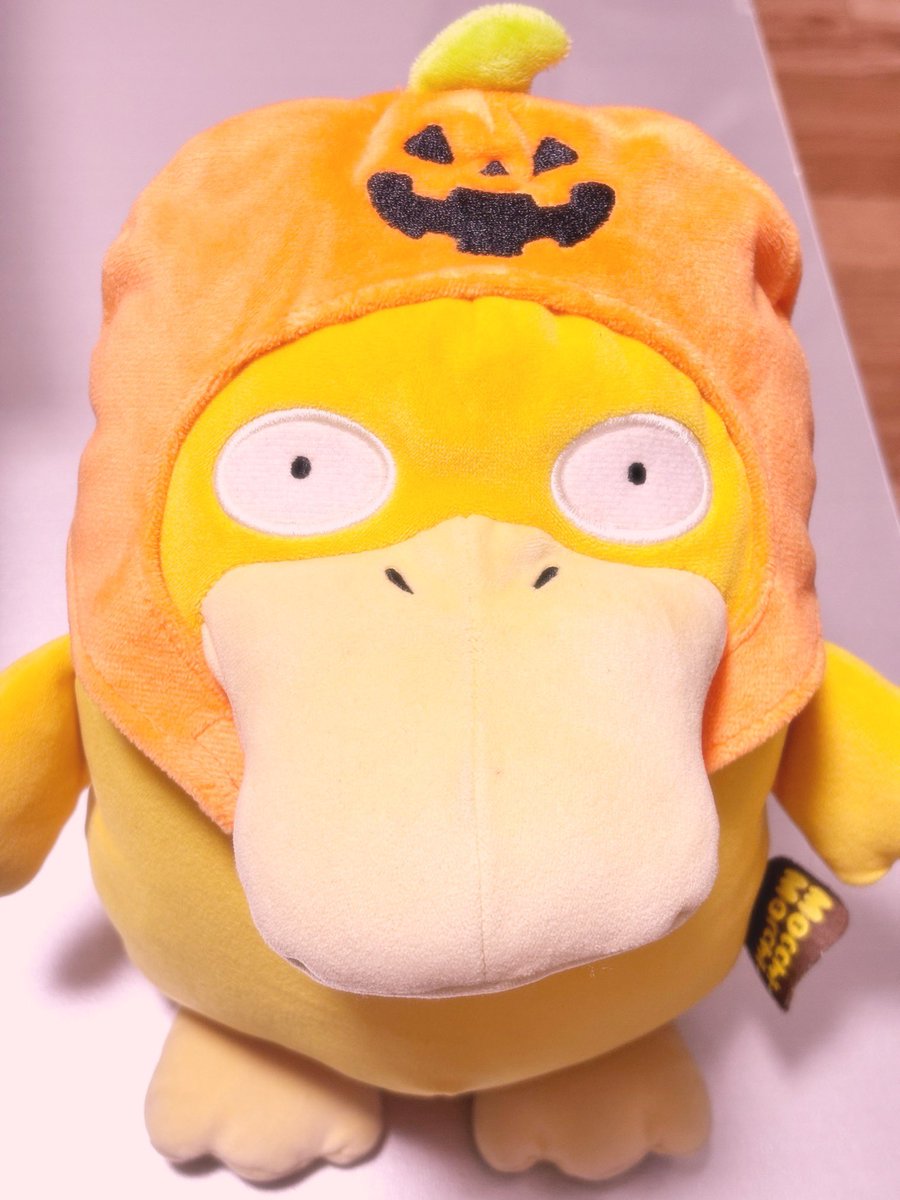 kodapoyo's tweet photo. ジャストフィットコダ🎃 https://t.co/JKpYg5bpna