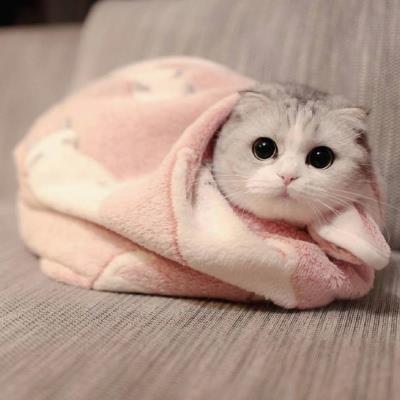 MAKS49009983's tweet photo. 🎉 🍀 🌸 Rainy days call for cozy blankets https://t.co/flaAqG0aqo