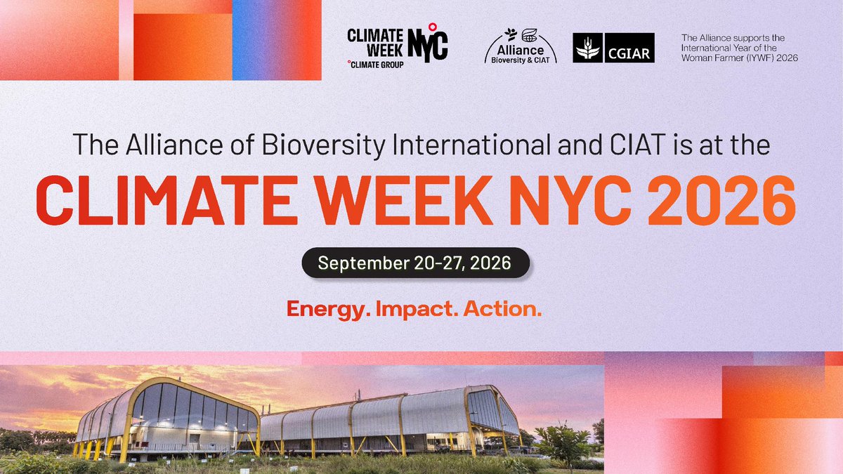 BiovIntCIAT_eng's tweet photo. We’re kicking off #ClimateWeekNYC2026 in New York!
📅 20–27 September.
This week, we’re bringing science, partnerships and solutions to the conversations shaping climate action. 👇
https://t.co/2bU7RLf0jm https://t.co/SJvYVyM5RQ