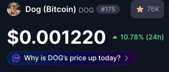 dogdamassa's tweet photo. GM $DOG ARMY 🐕🧡

Is everyone ready to kick off the week? https://t.co/Qy6BkXlCkW
