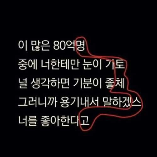ZhRlfl_CITY's tweet photo. 뀽토체스하실분 https://t.co/bW41LnIhro