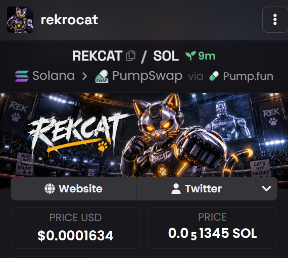 Rekrocat tweet picture