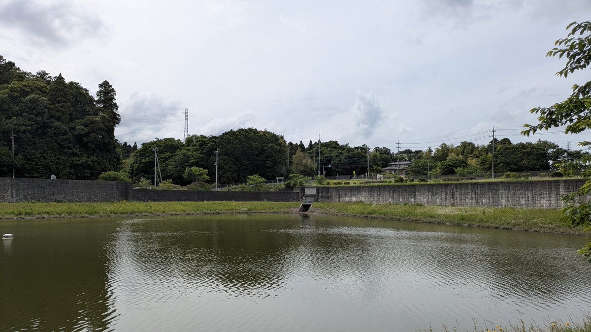 narita_shimin's tweet photo. めちゃくちゃな雨ですが公津の杜のこの公園がなければ公津の杜は大変な事になってしました。過去に記事で街の成り立ちからこの公園の意味を解説しております。https://t.co/eOsiJVvPBX https://t.co/fPoo1ZdqPJ