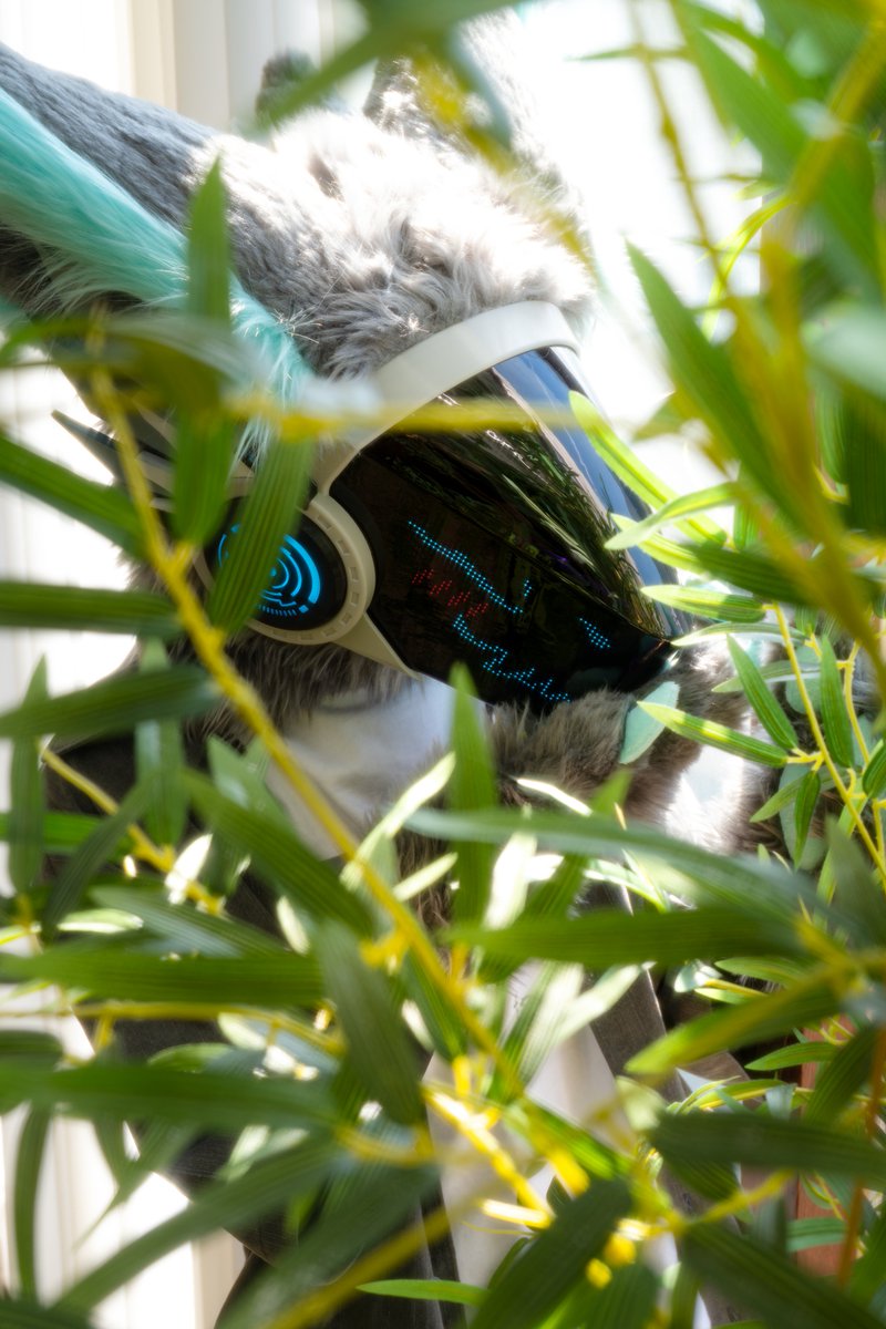 Cipher_Fur's tweet photo. 요즘 날씨가 너무 좋아!

#FursuitEveryday
#Protogen
📸 - @Dia_snake90 💎 https://t.co/4PKPfBw2BM