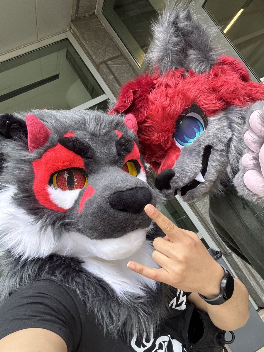 JoeySensePuP's tweet photo. Had fun at Furrest City. Here’s some pics! @FurrestCity https://t.co/HDxj1ML6Pc