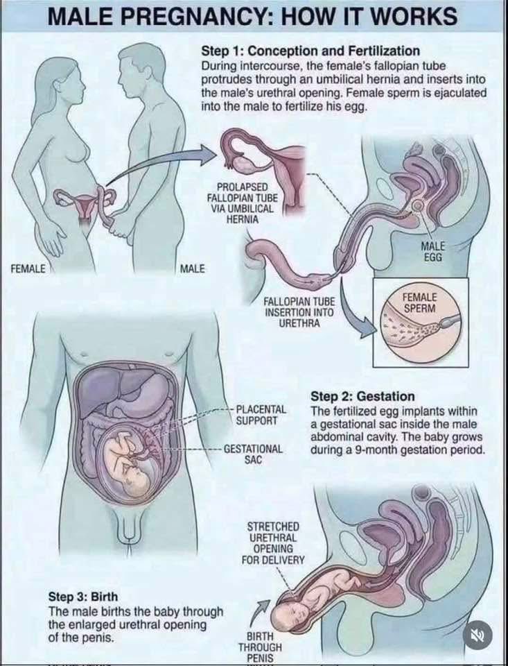 towhogger's tweet photo. Behold the “liberal truth”. When you lie then have to contort and pervert to justify the lie which compounds over and over to eventually end here…
I’ve been told they were “butt babies”, which I assumed, came out a different orifice, but now the “science” is “proven”… https://t.co/ETg0wtTV7k