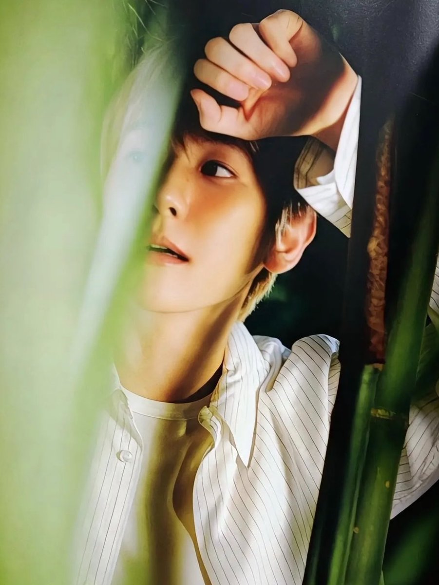 candybaek506's tweet photo. 백현✨

🌿                                                             🐠
In the forest                             In the water https://t.co/4H46bTaQom