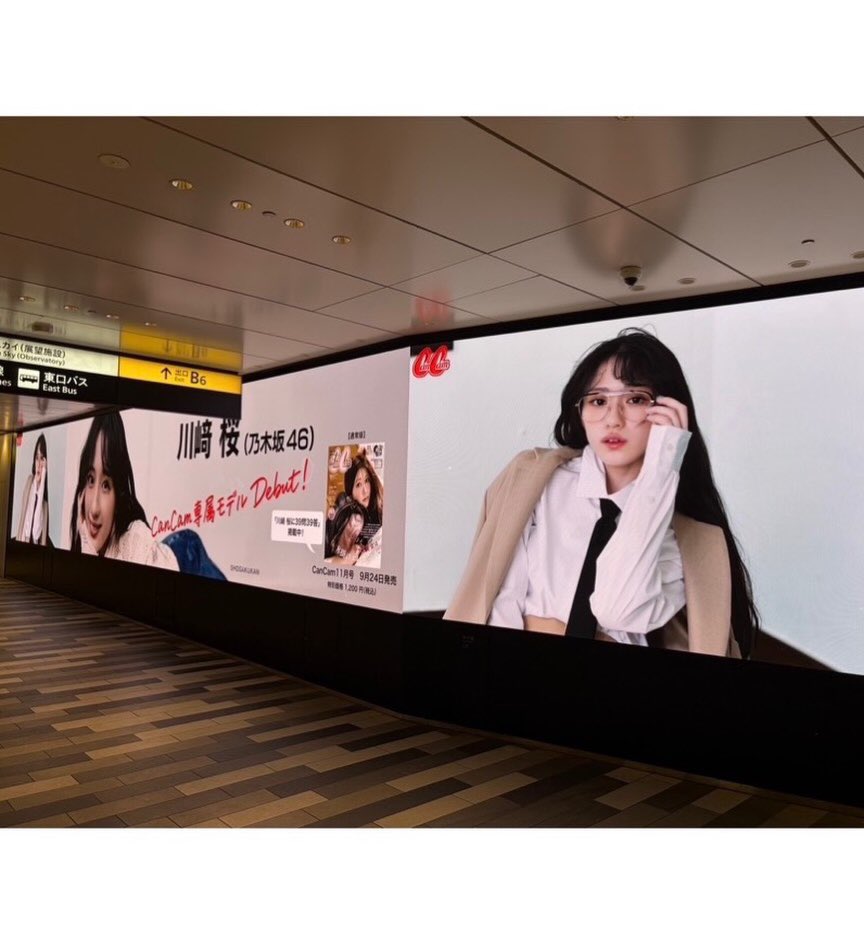 ryomaru46's tweet photo. 渋谷のでっかい桜絶対見たい！
#sakutangram https://t.co/Yqmc60Xsgi