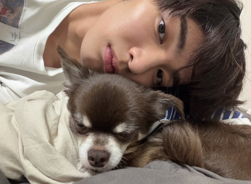 Keionho's tweet photo. @Jringyi Nggak bisa ngelak kalau ini jie, takut digetok sama jiejie kalau bilang enggak hehe. Punya dong, ini jie namanya Cookie dia masih paud https://t.co/0ydf2iFcfm