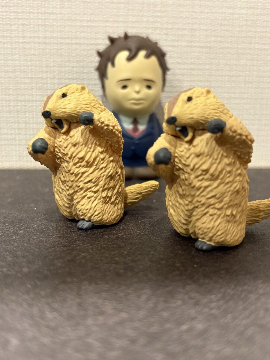 Tesuto1051208's tweet photo. マーモットロワイヤル

名古屋のヨドバシカメラで購入
右フックがダブっちゃったけど、
互いに牽制し合ってるみたいで良い…かも https://t.co/occVItDP0A