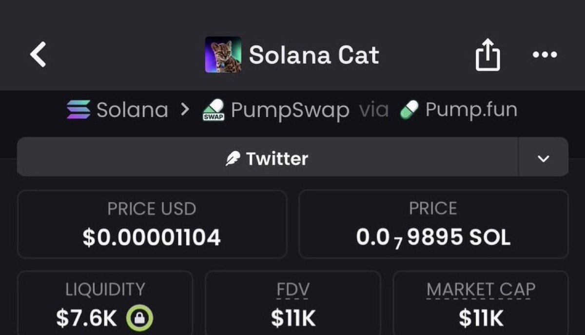 MemeQueen__12's tweet photo. 💎 Aped $SCAT at $11K MC and rode it all the way to $257K MC in my alpha TG!

We locked in 23.3x profits 🚀🚀

📩 DM me to join the alpha TG 🔥📉
⛓️ #Solana #Memecoin #CryptoTrading https://t.co/NrsgkujzAA