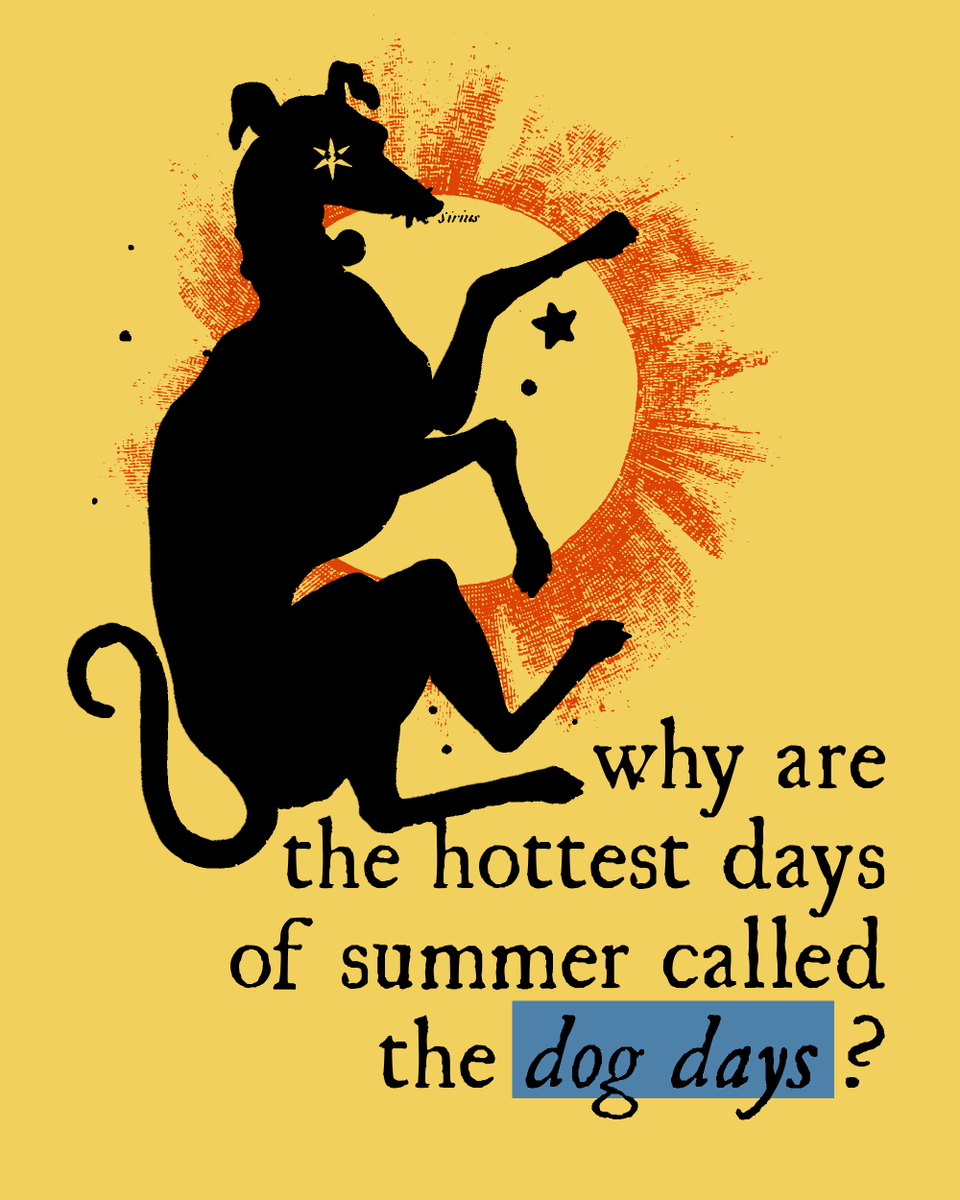 WeirdMedieval's tweet photo. turning fun facts from my upcoming book into infographics :) (1/5) https://t.co/jBpc9ViR3B