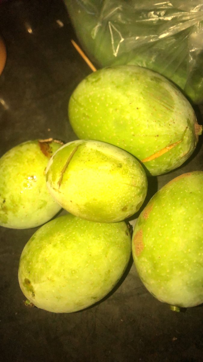 unethical_404's tweet photo. wangy bener ni bau mangga https://t.co/7tVdNTqu9I