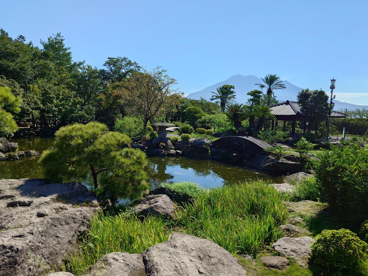 eigabaka's tweet photo. 鹿児島を観光中。桜島に渡って埋没鳥居など見て回り、指宿では砂むし温泉を体験しました。砂に埋まって波の音を聞くのがとても心地よかったです。霧島神宮は多くの人で賑わっており、仙巌園では桜島を望む日本庭園が素晴らしかったです。鹿児島いいですね。 #桜島 #指宿 #霧島神宮 #仙巌園 #鹿児島 https://t.co/Nq7pXtjBXL