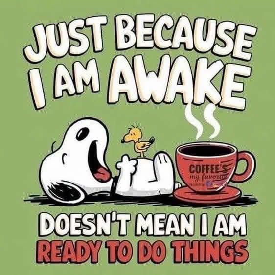 LaChonnaCuerera's tweet photo. #GoodMorning
#HappyMondayguys
Mugs up โฅ๏ธ โ๏ธ https://t.co/2AqwyGpsjv