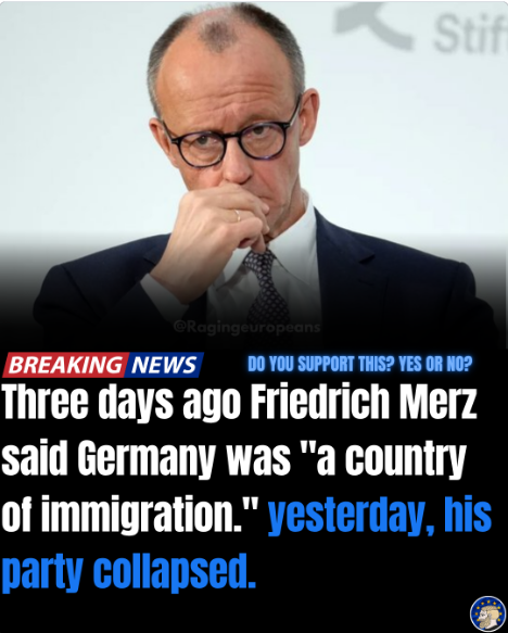 WatchdogTh96012's tweet photo. The people have made their wishes clear.  This is just the start.  France will soon follow.  Then the UK, Spain, Netherlands etc.  Time to elect politicians who put the safety &amp; prosperity of EU citizens first.  #Germany #AfD #Merz #EU https://t.co/qyzSKeEV3t
