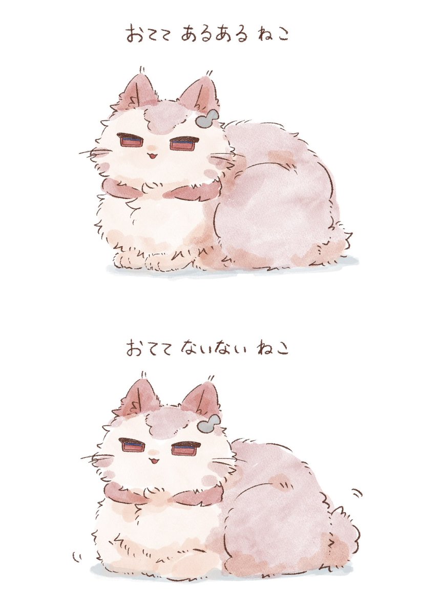 cthu___'s tweet photo. ねこ https://t.co/XqrQTVnYeT