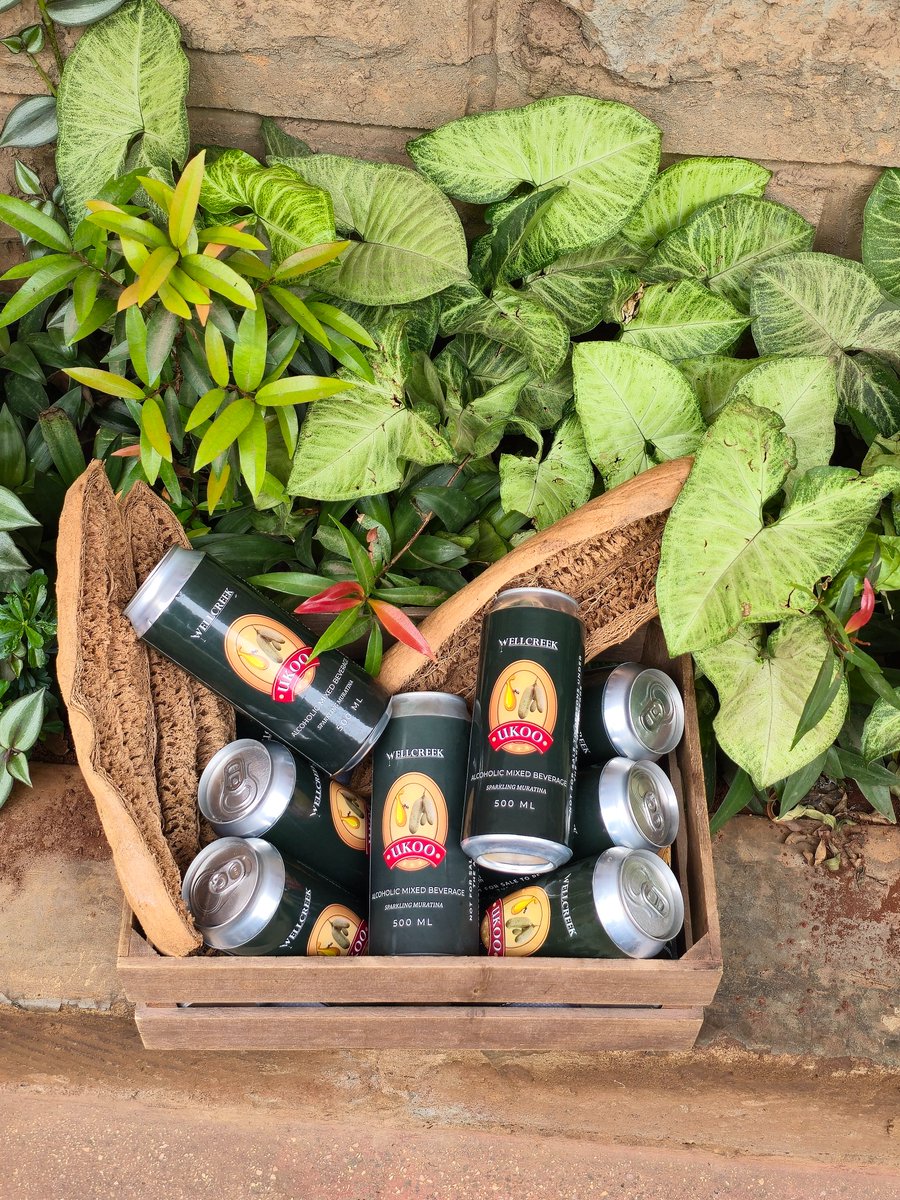 WellcreekCockt1's tweet photo. UKOO — Sparkling Muratina

Not simply a drink. A piece of Kenyan heritage, given a modern expression.

UKOO. The original Wellcreek signature.

https://t.co/XVw4UrSRiY https://t.co/IZXMy8EDSX