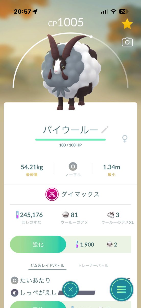 kitan1125's tweet photo. ポケモンGOやり始めて2週間、ダイマックスも進めてみたくウールー進化させてみた
こういうの3匹揃えてラッキー討伐の流れ？
#ポケモンGO #ポケモンGO初心者 https://t.co/92bql0ROTC