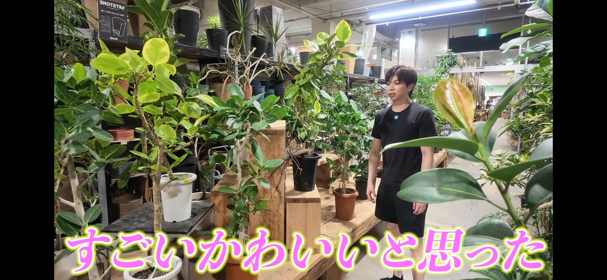 no1_jyu's tweet photo. 素材として汎用性の高いじんだいチャンネル https://t.co/xjNP11iNi3