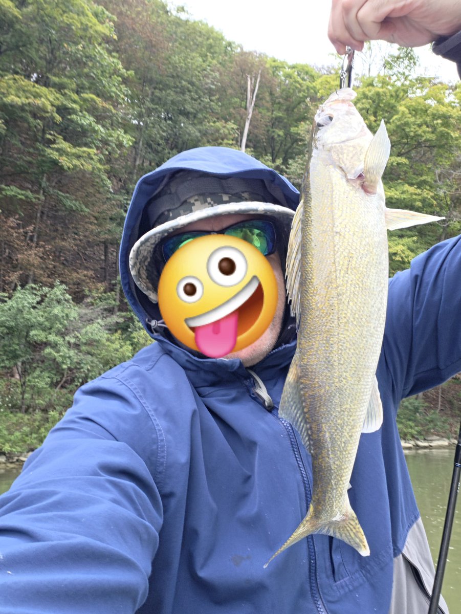 wrckDnRck's tweet photo. 今週末サケ釣りに行ってたんだ。まだ早くて あんまり寒くなかったから、代わりにナマズ が釣れちゃってさ。でも日曜日にやっと最初 の一匹(サケ)が釣れたよ。
Walleye too.
Can you find the deer?
#釣り
#fishing https://t.co/vM02979DjU
