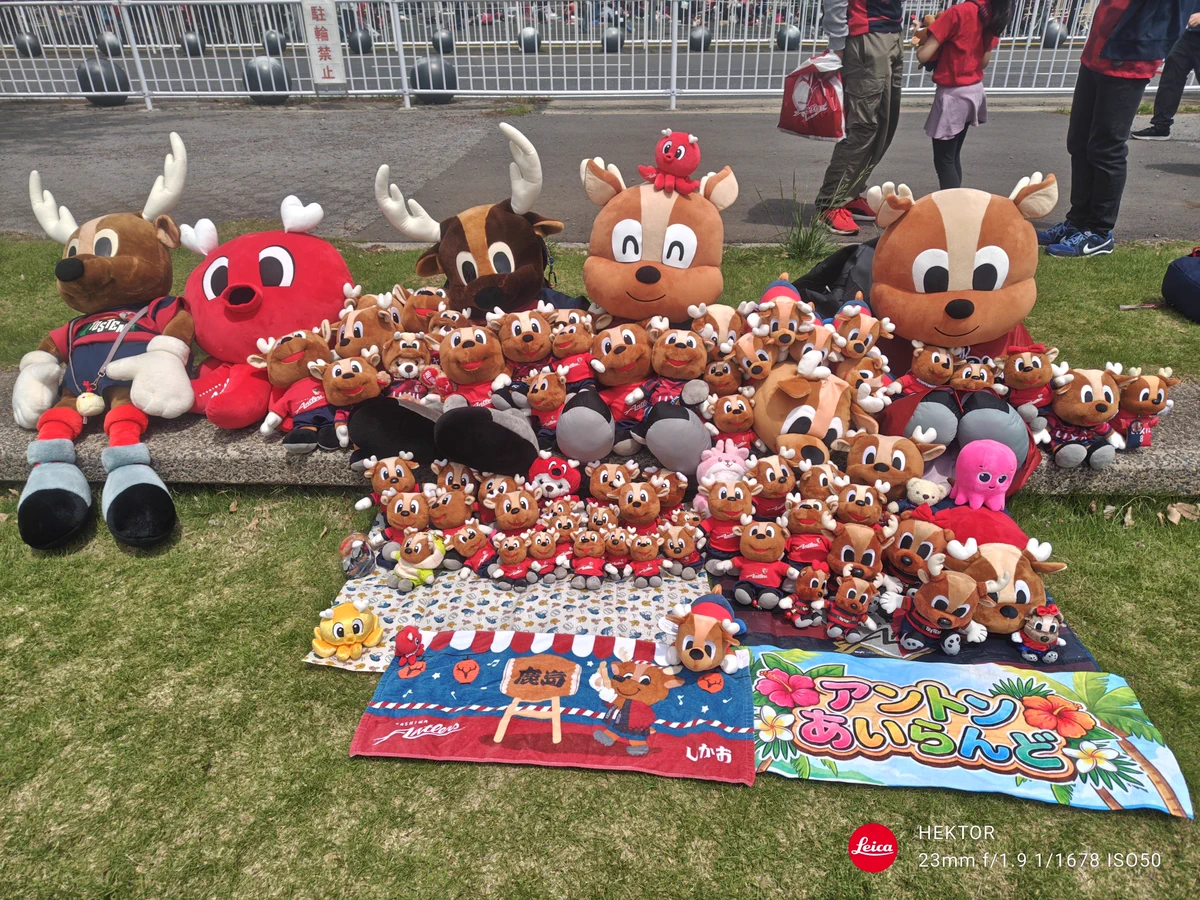 鹿島アントラーズ グッズ担当【非公式】 on X: 