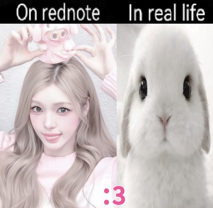 crrybabys_'s tweet photo. gooys bantuin aku pilih pfp balu ^___^ https://t.co/BQVTlULZMg