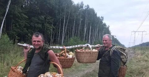 morjj777's tweet photo. 🇺🇲🇷🇺 Источники из Пентагона сообщили изданию The Washington Post, что россиян больше волнуют новости о грибном сезоне, чем о планирующейся скрытой 

МОБИЛИЗАЦИИ, 

о которой 
писали все западные СМИ. https://t.co/iPAntgSkik
