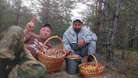 morjj777's tweet photo. 🇺🇲🇷🇺 Источники из Пентагона сообщили изданию The Washington Post, что россиян больше волнуют новости о грибном сезоне, чем о планирующейся скрытой 

МОБИЛИЗАЦИИ, 

о которой 
писали все западные СМИ. https://t.co/iPAntgSkik