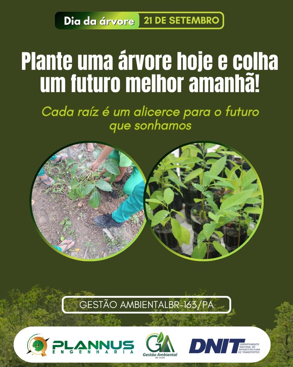 Gestao163Pa's tweet photo. 🌳 21 de Setembro – Dia da Árvore
As árvores são essenciais para a vida e para o equilíbrio do meio ambiente. Plantar, cuidar e preservar é contribuir para um futuro mais verde e sustentável. 🌱💚
#DiaDaÁrvore #21DeSetembro #GestãoAmbiental #Preservação https://t.co/5UAZzKwD5V