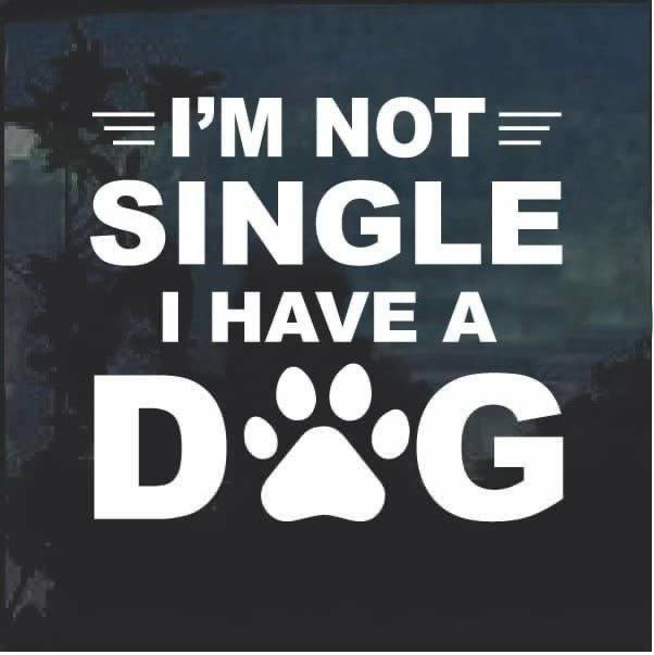 Lilyaji5's tweet photo. Yayy 💋🐶
#dogs #doglovers #zoo #zoophillia #bestiality #dogknotting #nsfw https://t.co/uP8XwWtqYn