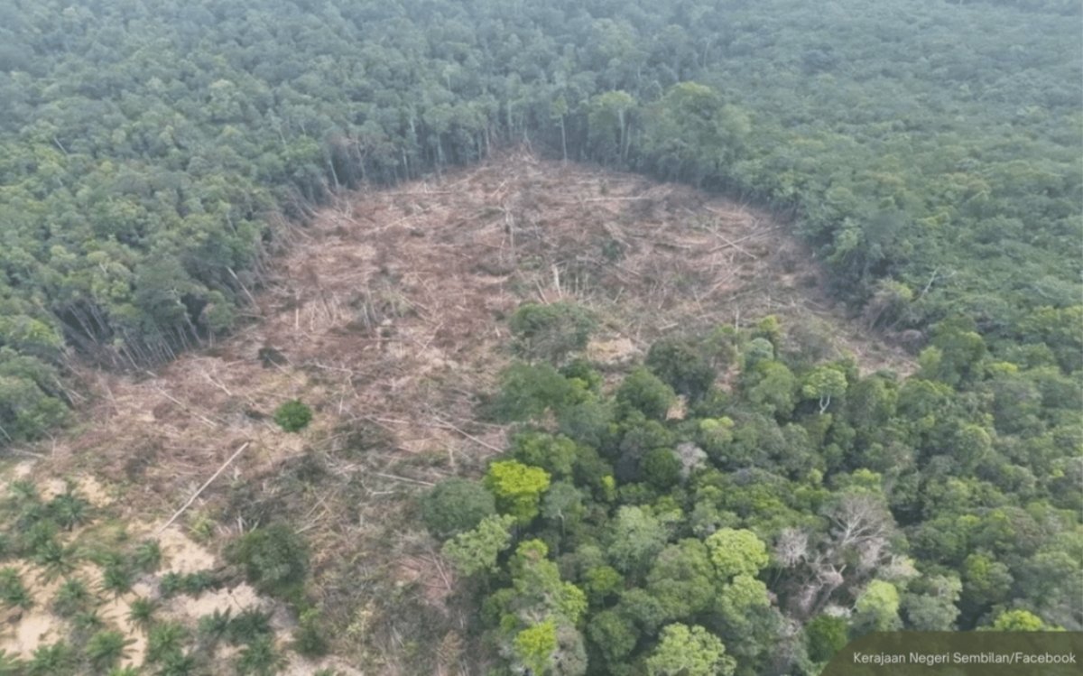 NewsBFM's tweet photo. The Tasek Bera Orang Asli community has rejected claims that outsiders were manipulating them to carry out illegal land clearing, and denied claims that syndicates had cleared thousands of hectares in the area.

The Semelai tribe’s Tok Batin and Semelai Bera Customary Council said such claims were an attempt to deny and seize the community’s customary land rights, reports NST.

https://t.co/V5QOyseUcQ

🧵1