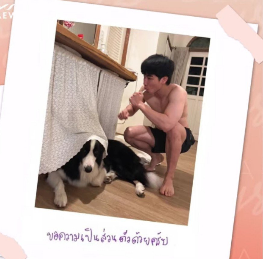 iam_pikkyview's tweet photo. หยิ่น : ถามนิดนึงครับ ใครเป็นคนถ่ายครับ ใครถ่าย

พี่วอร์ : อันนี้ที่บ้าน https://t.co/Ht3ZvP5R1u