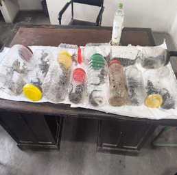 CustomsNer's tweet photo. Officers of DPF, Dimapur, on 17-09-26, seized 30 live Tokay Geckos from a person along NH-37, Bokakhat, Assam under the Wildlife (Protection) Act, 1972.  Case handed over Range Forest Officer, Bokakhat Range for further course of action. #IndianCustoms #IndianCustomsatWork https://t.co/9HXJEBajab