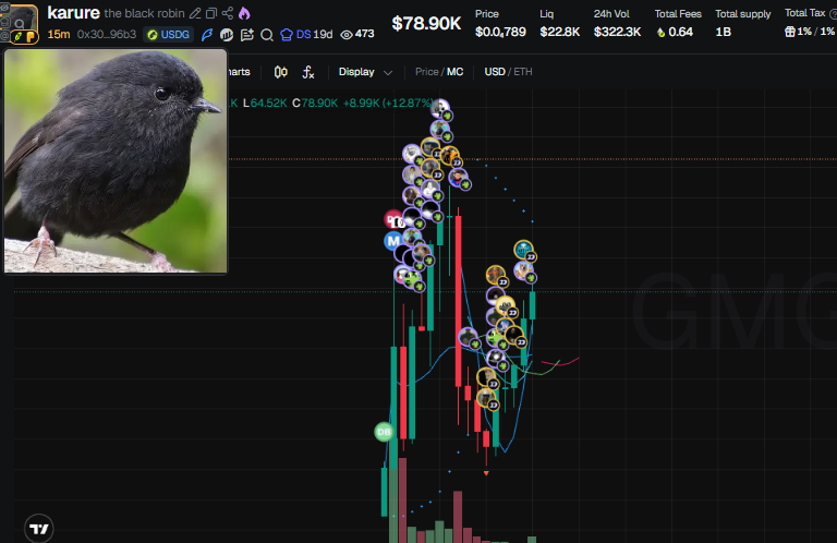 shardsca1ls's tweet photo. Nothing moves on the RH chain without us already knowing about it.

$karure caught through consistent wallet tracking.

We post these first in the telegram, link in bio.

CA: 0x300fcb4bbe8c86b844536ea7d817e4bd0f1096b3 https://t.co/BiVBk6oQ52