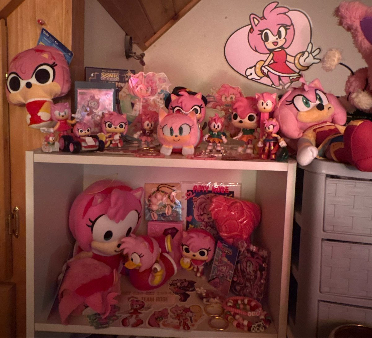 MeganSouzaVA's tweet photo. i might like amy rose, your honor 🩷 https://t.co/GW0NFNBtYj