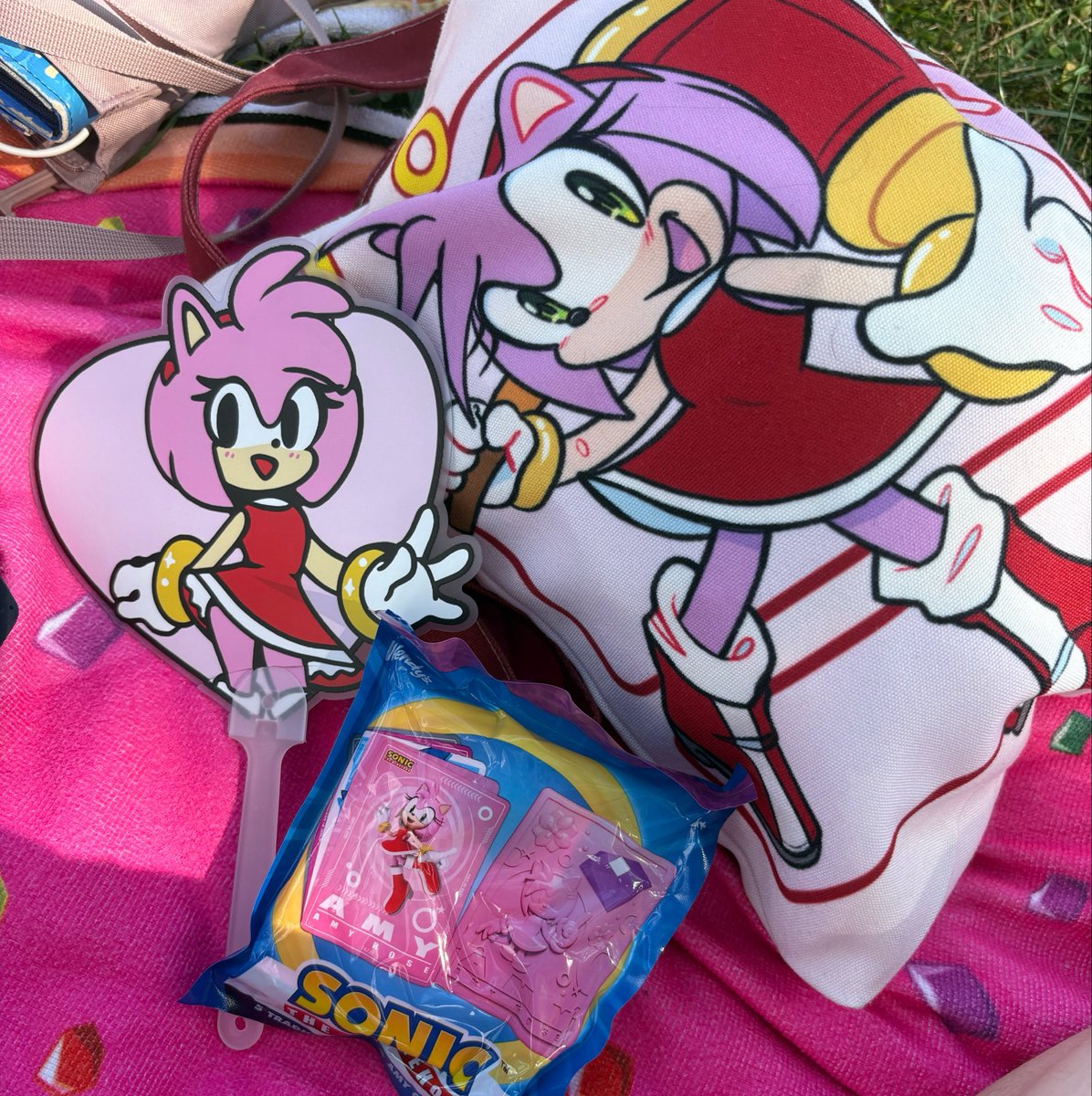 MeganSouzaVA's tweet photo. i might like amy rose, your honor 🩷 https://t.co/GW0NFNBtYj
