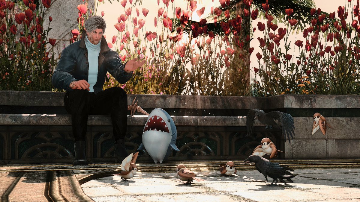 Chen_Yaes's tweet photo. Gotta feed the birbs :>  

#ffxivgpose #EorzeaPhotos #FFXIV #AuRA #GPOSERS https://t.co/5Syg9EYeyH