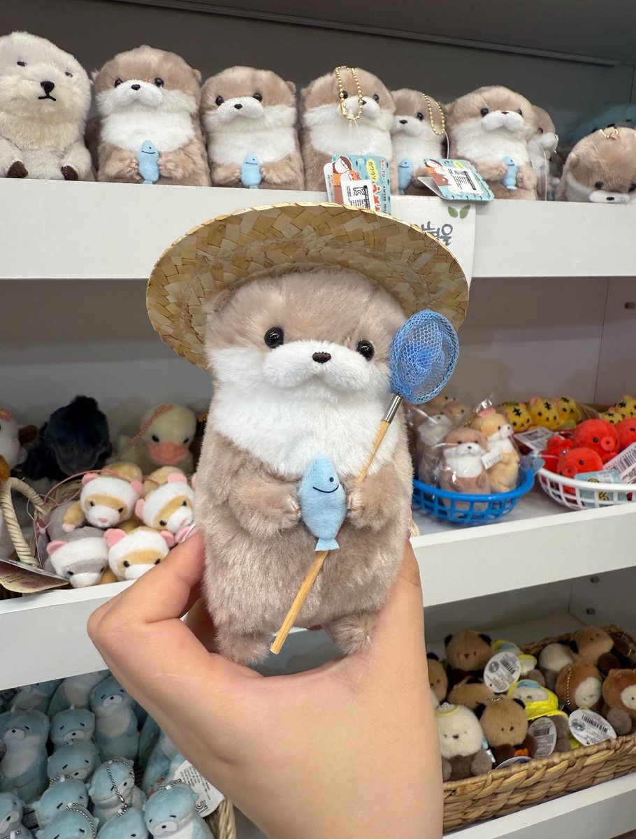 magleson's tweet photo. IMUT BANGET... OTTER PEGANG IKAN? GAK KUAT LUCU 🥹🤚 https://t.co/wmKSNjMW4c