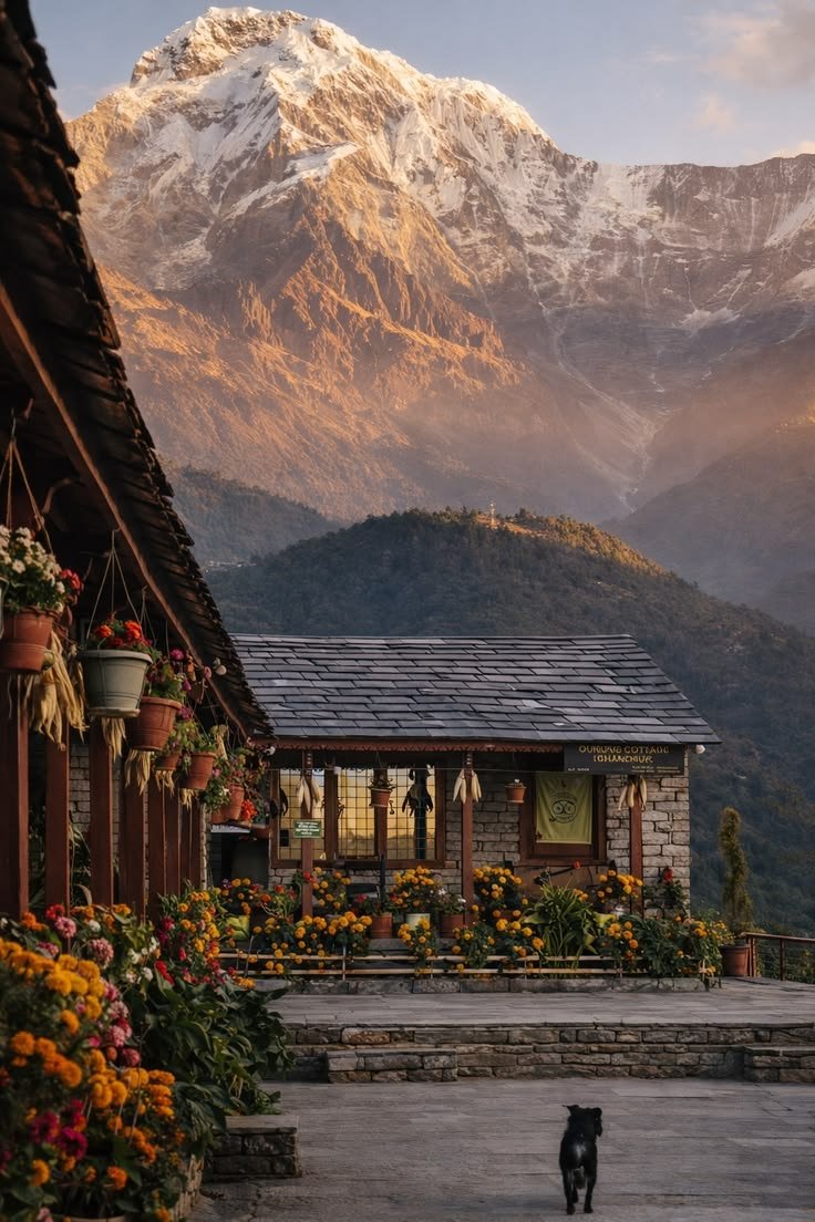parasmagartrek's tweet photo. Beautiful valley and Annapurna view https://t.co/G97tyzCa9M