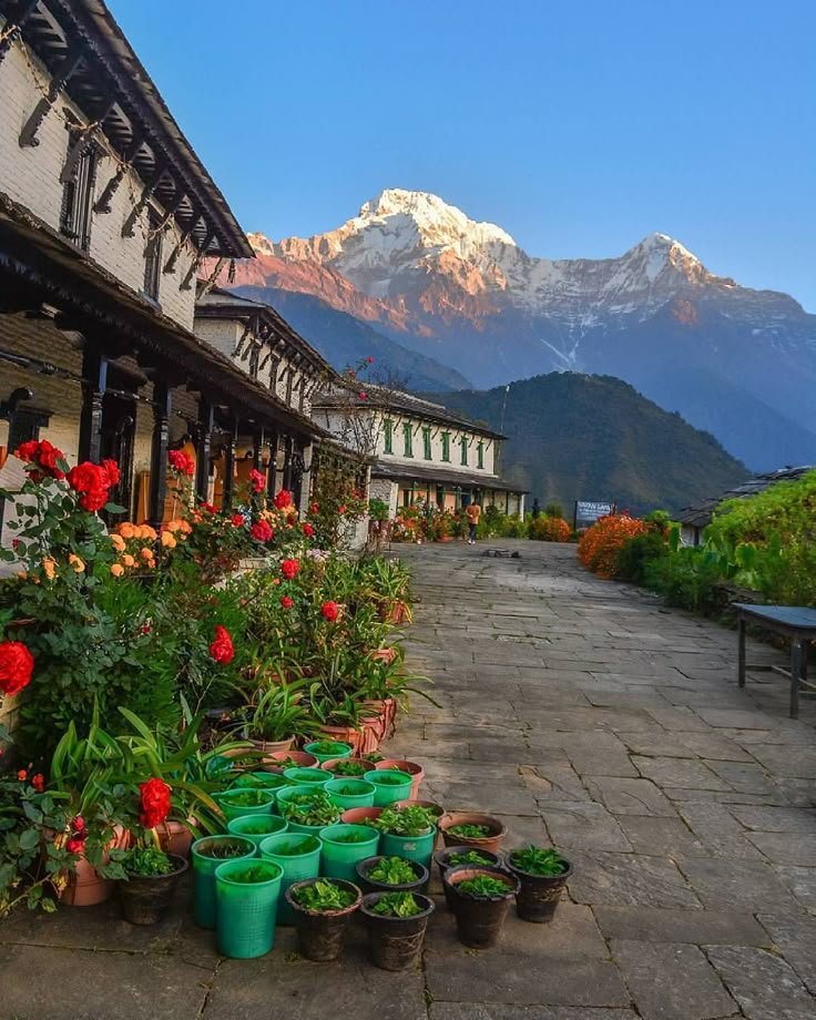 parasmagartrek's tweet photo. Beautiful valley and Annapurna view https://t.co/G97tyzCa9M